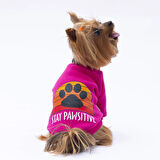 Pawstar Pembe Carmel Polarlı Küçük Irk Köpek Sweatshirtü