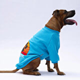 Pawstar Turkuaz Carmel Polarlı Orta-Büyük Irk Köpek Sweatshirtü