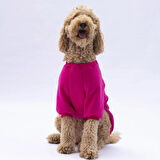 Pawstar Pembe Carmel Polarlı Orta-Büyük Irk Köpek Sweatshirtü
