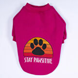 Pawstar Pembe Carmel Polarlı Orta-Büyük Irk Köpek Sweatshirtü
