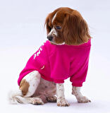 Pawstar Pembe Lahti Polarlı Küçük Irk Köpek Sweatshirtü
