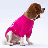 Pawstar Pembe Lahti Polarlı Küçük Irk Köpek Sweatshirtü
