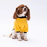 Pawstar Yellow Loviisa Polarlı Küçük Irk Köpek Sweatshirtü