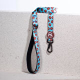 Pawstar Bears Köpek Gezdirme Kayışı 120 cm x 2 cm