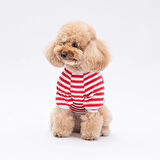 Pawstar Kırmızı Winnie Küçük Irk Köpek Sweatshirtü