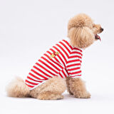 Pawstar Kırmızı Winnie Küçük Irk Köpek Sweatshirtü