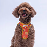 Pawstar Air-Mesh Poodle Köpek Göğüs Tasması