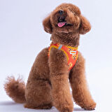 Pawstar Air-Mesh Poodle Köpek Göğüs Tasması