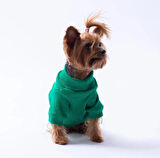 Pawstar Yeşil Avocado Nakışlı Esnek Küçük Irk Köpek Likralı Triko