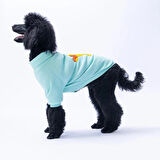 Pawstar Mint Pooh's Ashdown Tigger Orta ve Büyük Irk Köpek Kazağı