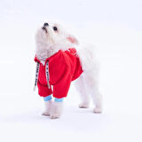 Pawstar Kırmızı Seattle Storm Polarlı Küçük Irk Köpek Sweatshirtü