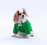 Pawstar Yeşil Oslo Chill Küçük Irk Köpek Pofuduk Sweatshirt