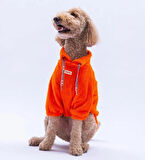 Pawstar Turuncu Doha Go! Orta-Büyük Irk Köpek Pofuduk Sweatshirt