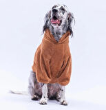 Pawstar Kahverengi Lucca Teddy Orta-Büyük Irk Köpek Pofuduk Hoodie Sweatshirt