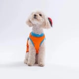 PawStar 26801 Turuncu All Good Days Tişört