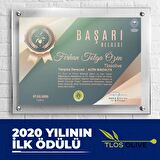 Zeytin Hanım Gold Soğuk Sıkım / Düz Sıyırma Bahçe / Natürel Sızma Zeytinyağı (<=0.8 Asit) -750ml