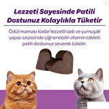 Vet's Plus Sterilised Yaban Mersinli Kısır Kediler için Urinary Destek 60'lı Çiğnenebilir Tablet