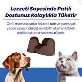 Vet's Plus Hip&Joint 60'lı Kedi ve Köpekler için Eklem Destekleyici Çiğnenebilir Tablet