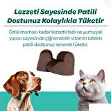 Vet's Plus Dental Çiğnenebilir Tablet 60'lı (Kedi ve Köpekler için Diş Bakımı)