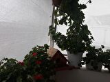 %95'lik Gri (Gümüş) Gölgelik File - 1*14 METRE - Branda - Çit Filesi 