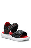 3M TIMO 3FX