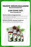 Çam Yağı (PİNE ESSENTİAL OİL)10 Ml.