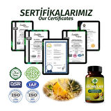 Bromelain Kapsül ( Bromelian Capsule) 60 Adet