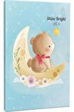 Moon Teddy C?İzgili 64 Sayfa
