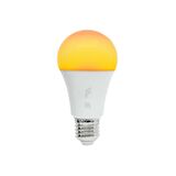 Fonri Akıllı Led Ampul