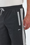 Slazenger NARAYAN IN Erkek Şort Koyu Gri