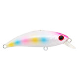 HanFish Zıpır KG Transparent Clown