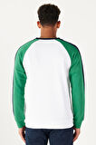 Erkek Beyaz-yeşil Standart Fit Normal Kesim Bisiklet Yaka Pamuklu Çizgili Sweatshirt