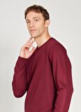 Bisiklet Yaka Standart Bordo Erkek Kazak 4A4924100001