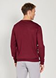 Bisiklet Yaka Standart Bordo Erkek Kazak 4A4924100001
