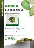 Kabak Çekirdeği İçi Çiğ 1kg- Raw Pumpkin Seeds