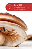 Erbatab Reishi Mantarı Ekstresi 60 Kapsü