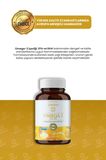 Erbatab Omega 60 Kapsül
