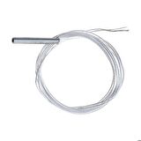 PT100 Platinum Dirençli Sıcaklık Sensörü - Sıcaklık Probu - 2 Kablo 1 Metre