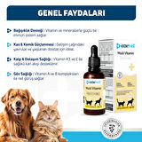 OneVet Multi Vitamin Damla Kedi ve Köpekler İçin Kemik ve Kas Güçlendirici Vitamin Takviyesi 50 ml