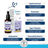 OneVet Glukozamin Kedi Ve Köpekler Için Eklem Ve Kıkırdak Sağlığı Destekleyici Damla 50 ml