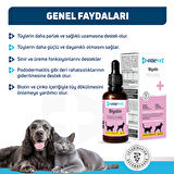 OneVet Biotin Damla Kedi ve Köpekler İçin Deri ve Tüy Sağlığı Destekleyici 50 ml