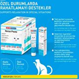 KIKI Excellent Kedi Relax Paste Macun 50 Gr