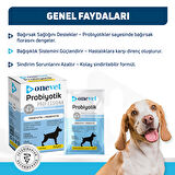 OneVet Probiyotik Şase Köpekler Için Sindirim Ve Bağışıklık Desteği Takviye Vitamini 7x1gr