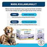 OneVet Collagen Şase 30x3 gr Kedi Ve Köpekler Için Kolajen Eklem, Kas Ve Kemik Güçlendirmeye Yardımcı