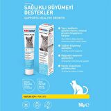 Kıkı Excellent Kedi Kitten Paste Macun 50 Gr. KC304