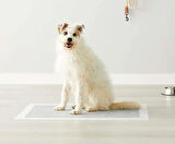 NoName Köpek Çiş Pedi - 60*90cm / 40gr / 50ad