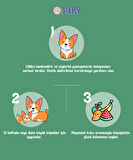 Silky - Köpekler için Tüy Parlatıcı Sprey  - 100ml