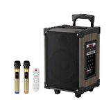 Torima Profesyonel LT-912 BT kablosuz hoparlör Bass ses kutusu 