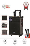 Torima D46  Kahverengi USB, TF, BT, TWS, FM Çift Mikrofonlu Hoparlör Parti Speaker