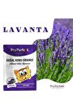 Kedi Kumu Koku Giderici Lavanta Özlü 25 Gr